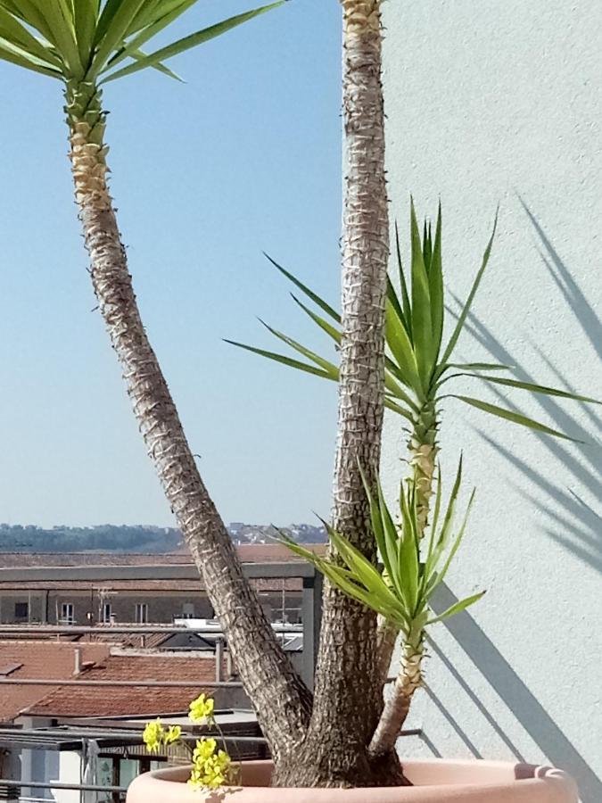Hotel Chiaraluna Civitanova Marche Exterior foto